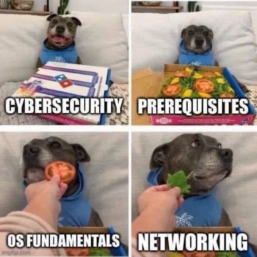 non-devs