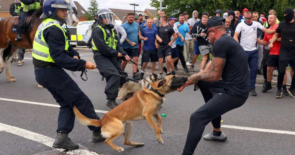 「警察犬、廃止して」　殴られ、火をつけられ…英暴動で負傷相次ぎ、愛護団体が要望