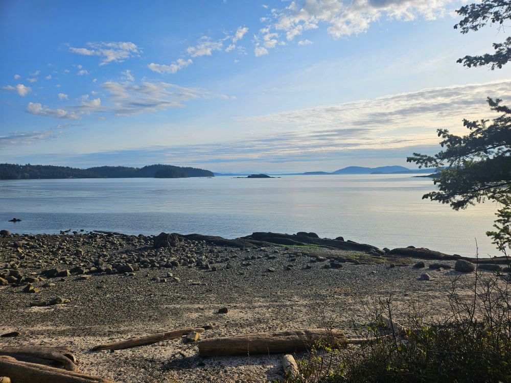 A short, rocky beach with a few logs near the top overlooking a large body of water. An island is visible in the center, with mountains faintly visible in the distance. 