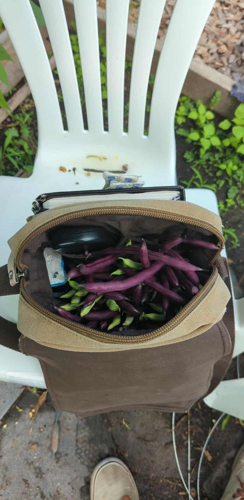 The same assortment of beans stuffed into a hip bag, filling it entirely with beans.