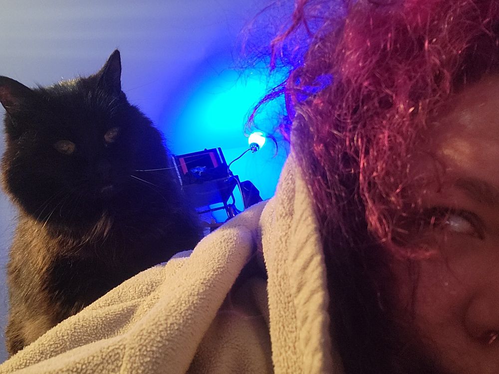 Phèdra, a small black cat with a white spot on her chest menaces over & stands on thr back of her person, pink haired side eye peaking out from behind a blanket towards the kitty as a blue light in the background glows a circle of blue light.