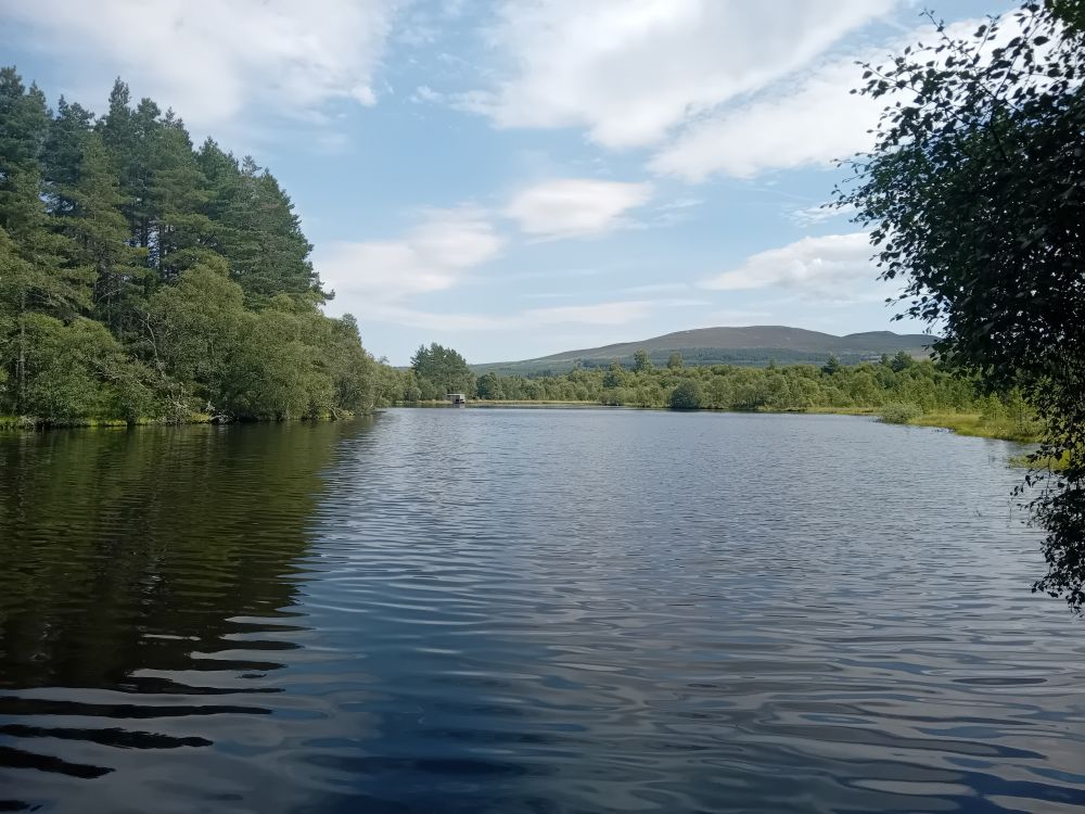 View over a lochan, green trees all around, blue sky and fluffy white clouds. In the background a small hill and fishing hut