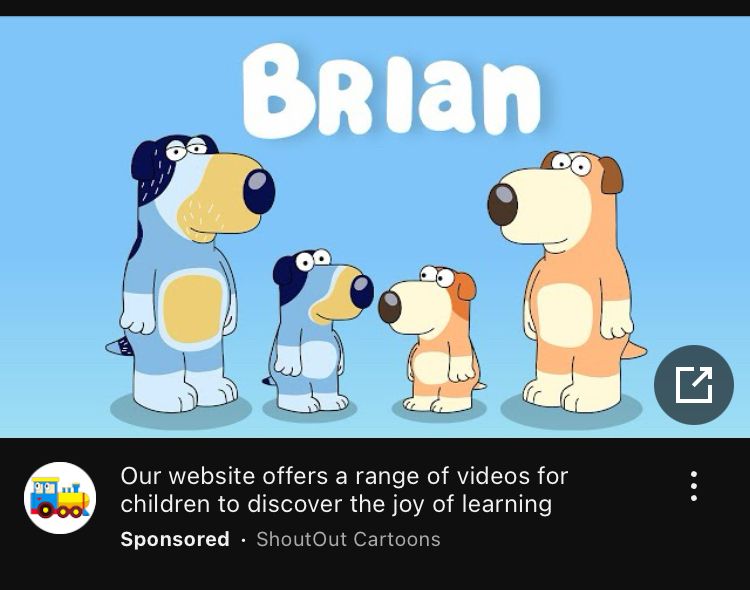 actual youtube ad