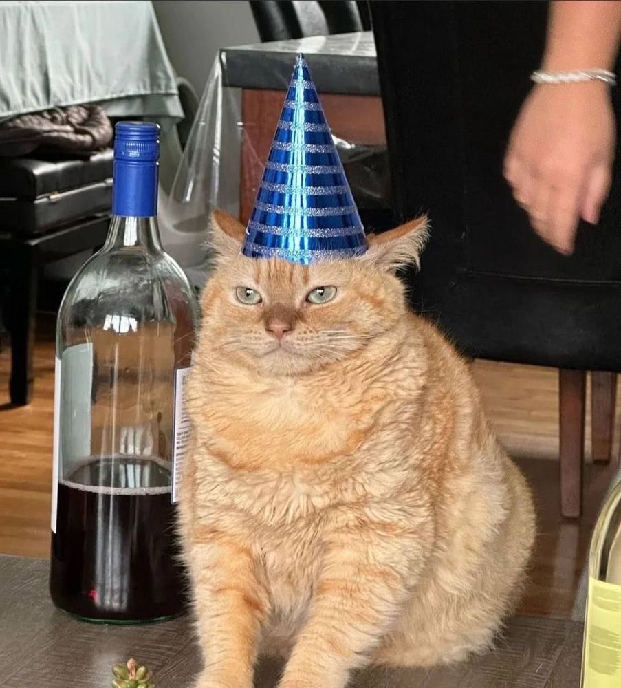 A ginger tabby cat wearing a party hat next to a half empty bottle of wine 