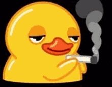 yellow duck with an orange bill shaking it's head while holding a cigarette or blunt.