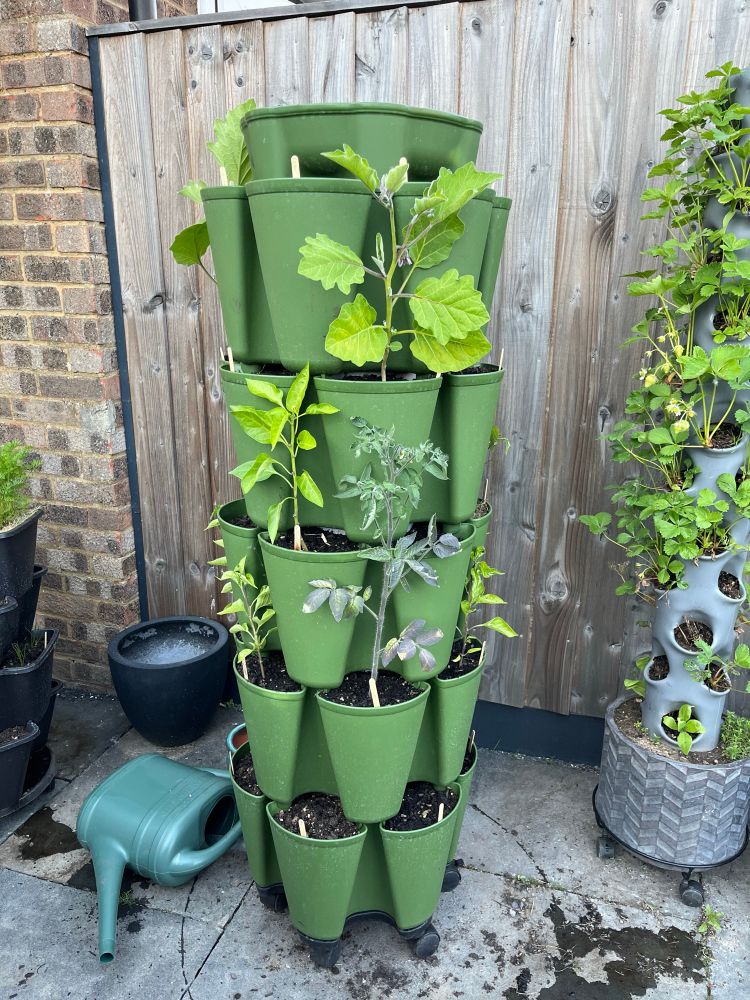 A sparsely populated vertical planter