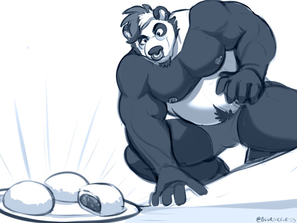 A muscular, big bellied panda crouching, ready to pounce at the sight of a plate of red bean mochi in front of him