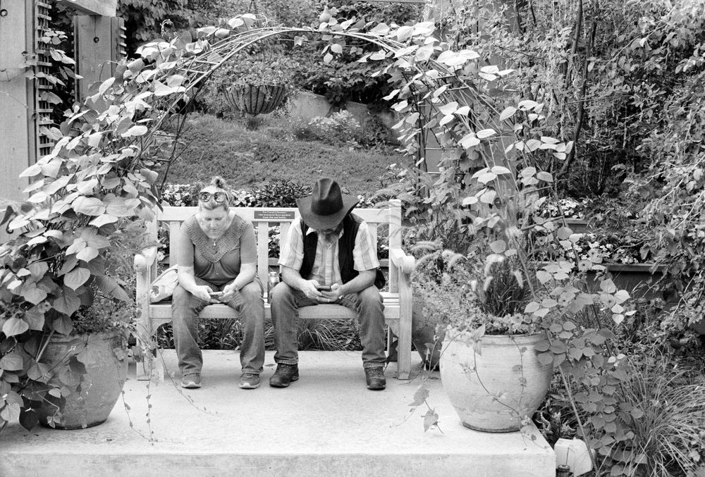 Two people out at the Denver botanic gardens enjoying nature by sitting on a bench looking at their phones