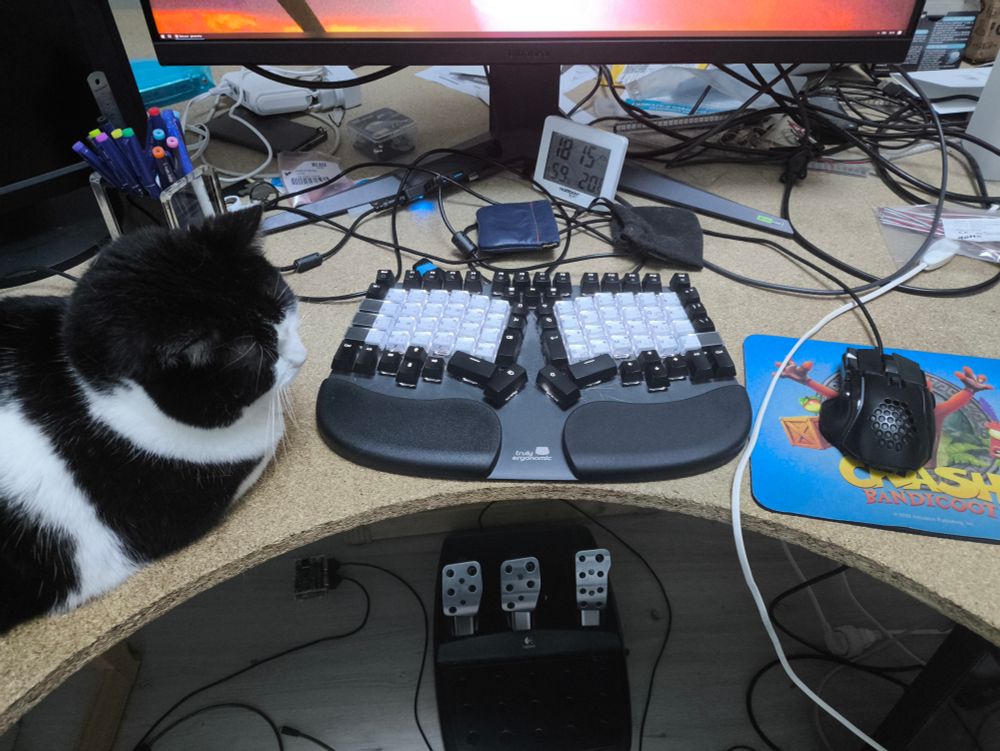 A computer desk with a lot of mess on it. Left to right: a black and white cat, a Truly Ergonomic Cleave keyboard with Optimot relegendables and a computer mouse on a Crash Bandicoot mousepad. There are also G25 pedals on the floor to save time when playing racing games.
