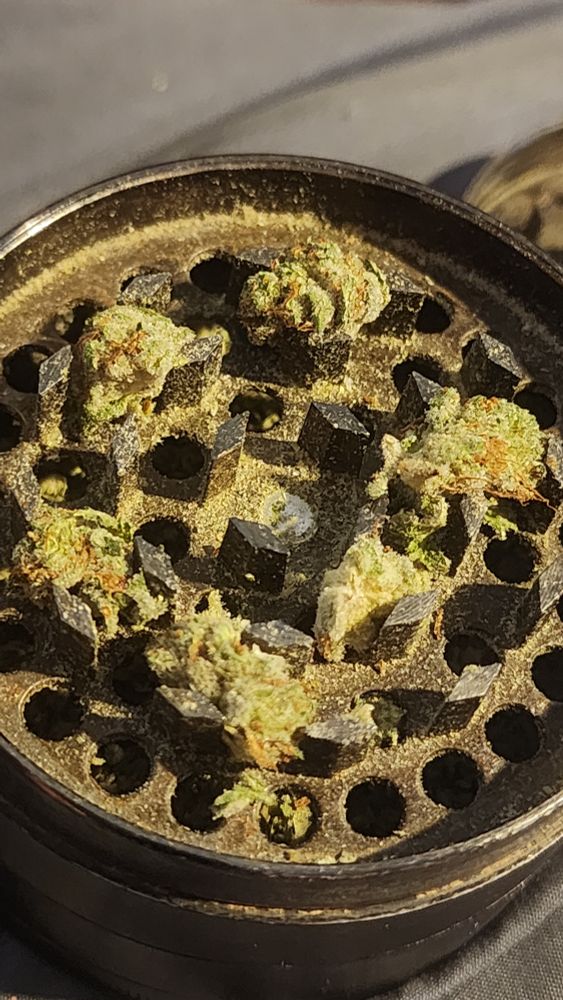 Preparation for Grinding
​In the second image, the cannabis has been broken into several smaller pieces and placed inside the top chamber of the grinder. The buds are nestled between the sharp, diamond-shaped teeth that will be used to shred them. This step shows the preparation for the grinding action.