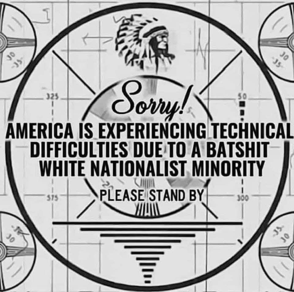 This image is a political meme that uses the format of a classic television test pattern (the Indian-head test pattern). The text has been altered to read, "Sorry! AMERICA IS EXPERIENCING TECHNICAL DIFFICULTIES DUE TO A BATSHIT WHITE NATIONALIST MINORITY. PLEASE STAND BY." It uses the familiar "technical difficulties" broadcast interruption message to frame the influence of white nationalism as a fundamental malfunction of the country.
