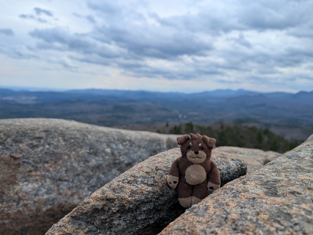 A little plush of a brown and tan schnauzer on top of a mountain