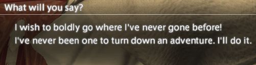 Options that ask "What will you say?" with the options being "I wish to boldly go where I've never gone before!" and "I've never been one to turn down an adventure. I'll do it."