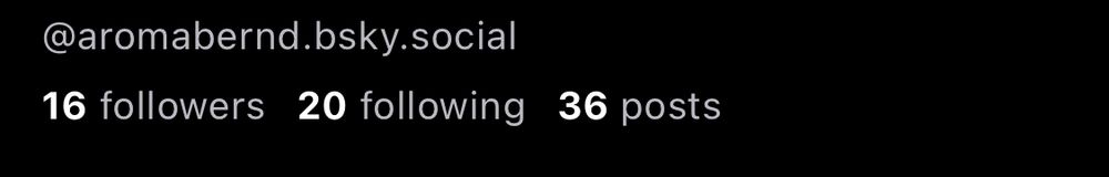 Meine Accountstatistiken, mit 36 Posts und 16 Followern