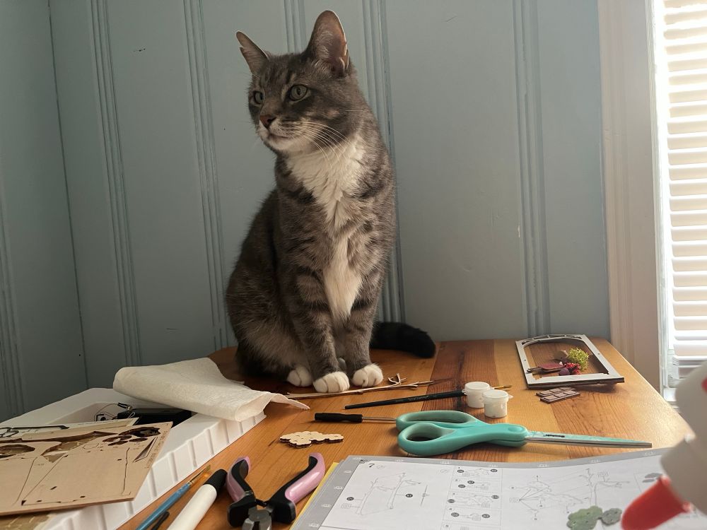 Gray tabby cat, sitting on a table and surrounded by crafting materials