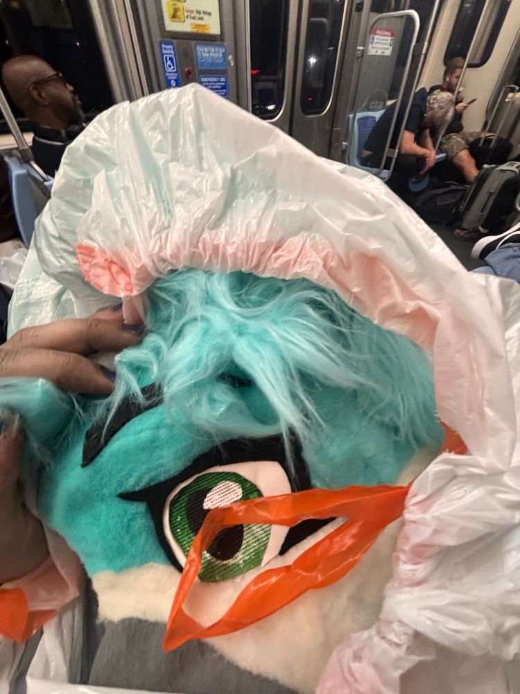 Me on the blue line with meik heading towards the loop 