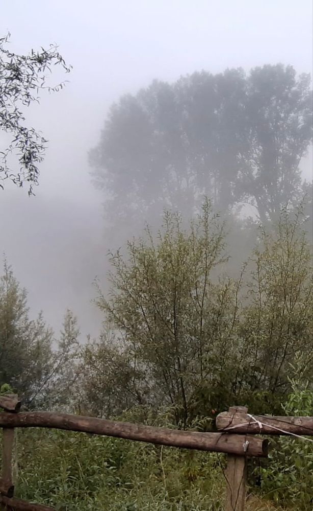 Eine nebelige Landschaft. Vorne ein Geländer aus schmalen Baumstämmen. 
