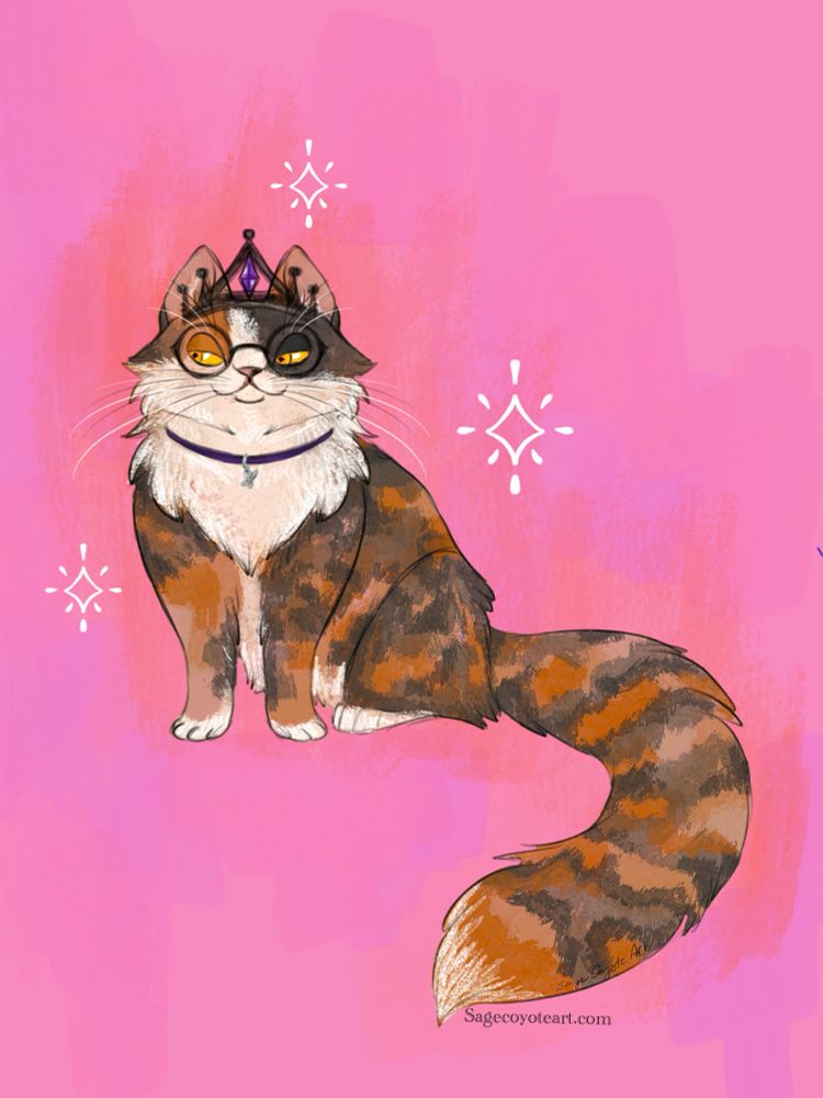 A tortoise shell Persian cat sits mostly facing the viewer she is wearing a tiara with a purple gem and glasses and a collar with a small silver butterfly charm.  