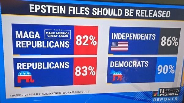 poll on releasing the epstein files
