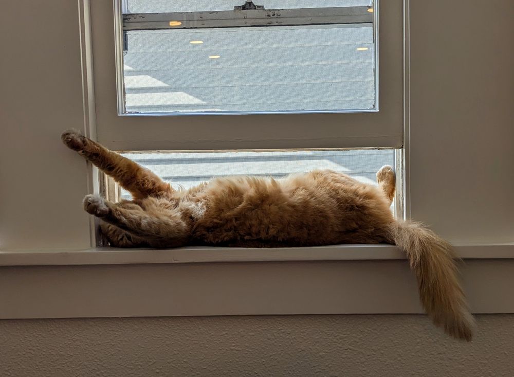 orange cat laying on his back in a window sill with his paws stretched out about to fall off