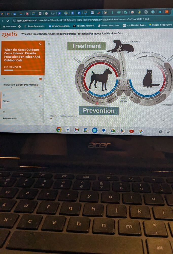 computer screen showing a lecture slide on feline heartworm