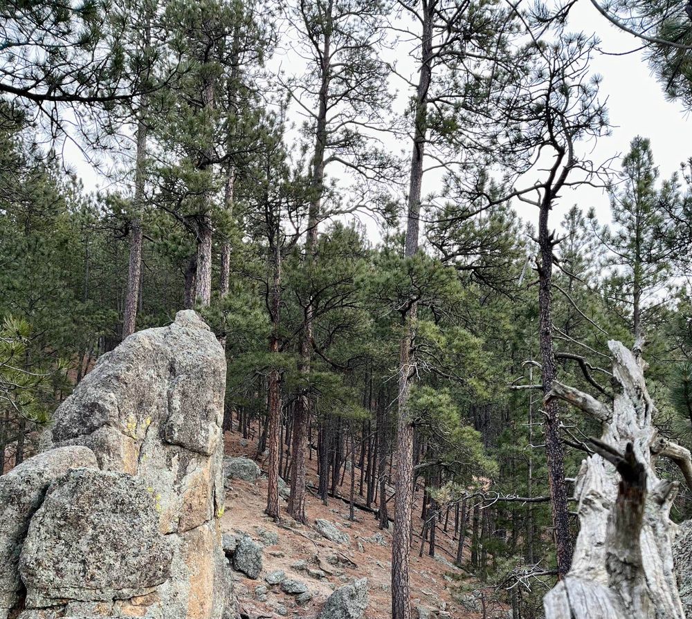 Stockade Lake 