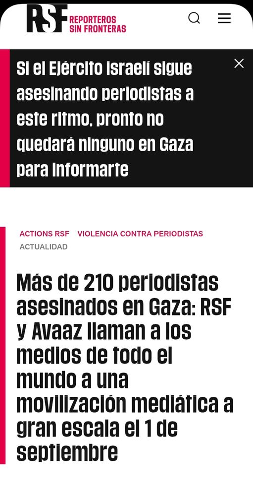 Periodistas asesinados por israelitos 
