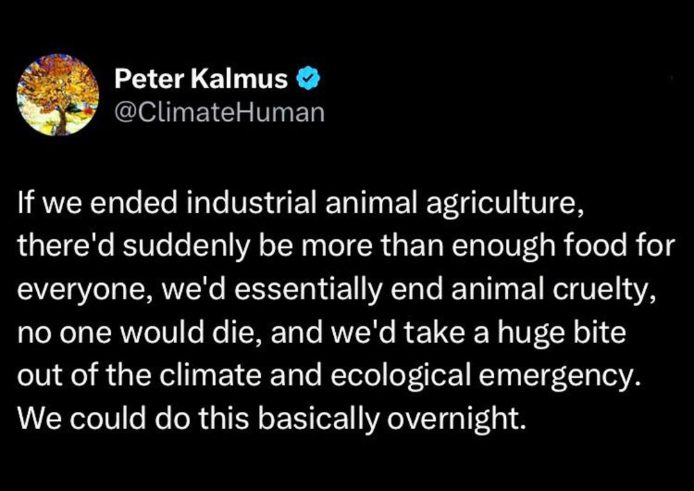 Screenshot of Twitter post by Peter Kalmus @ climatehuman

‘ if we ended industrial animal agriculture, there would suddenly be more than enough food for everyone, we’d essentially end animal cruelty, no one would die, and we’d take a huge bite out of the climate and ecological emergency. We could do this basically overnight.’