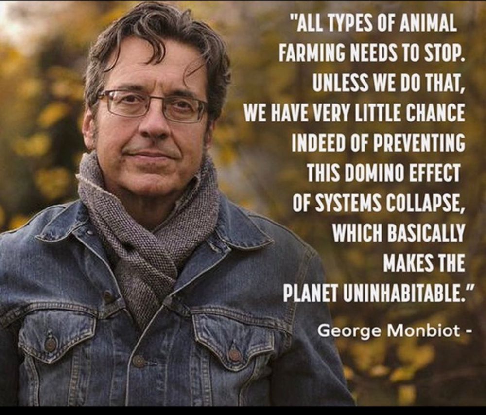 Meme w photo of George Monbiot in a Jean jacket and grey scarf w fall colours in the background, w overlaid quote on right hand side:

“All forms of animal farming need to stop. Unless we do that, we have a very little chance indeed of preventing this domino effect of systems collapse, which basically makes the planet uninhabitable“
– George Monbiot 

