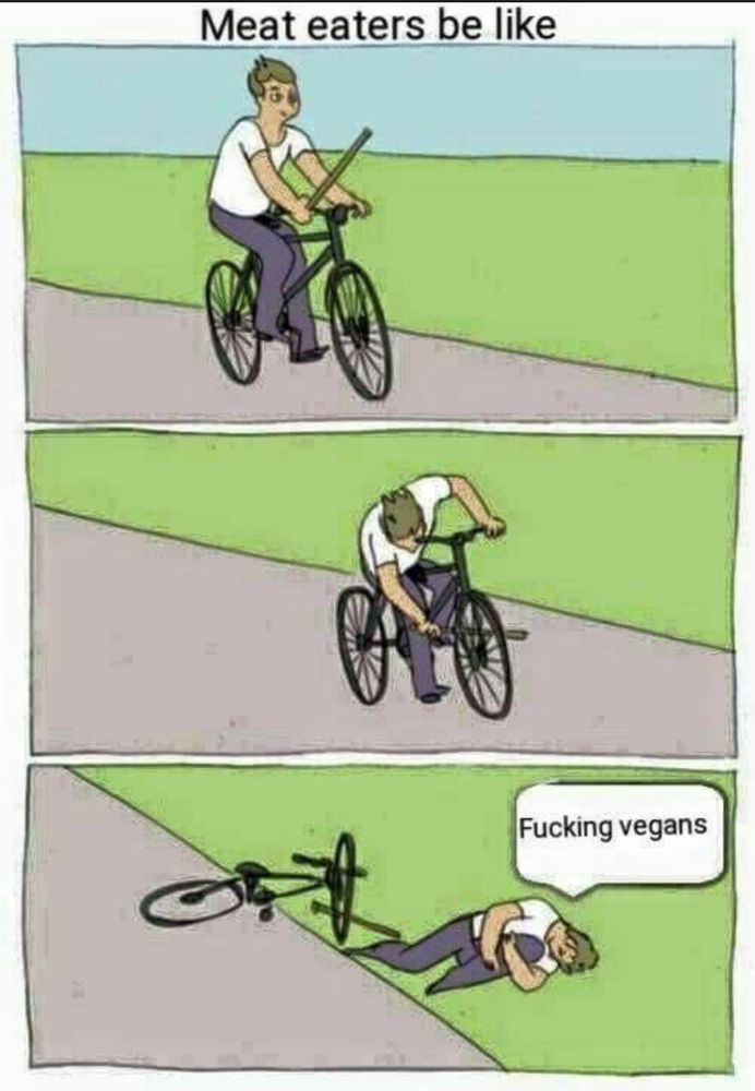 3 panel cartoon titled: meat eaters be like

1st panel: person riding along on a bicycle
 
2nd panel: same person jams stick into the spokes of the front wheel 

3rd panel: person lying on ground next to bike, holding their knee, saying ‘fucking vegans’ 