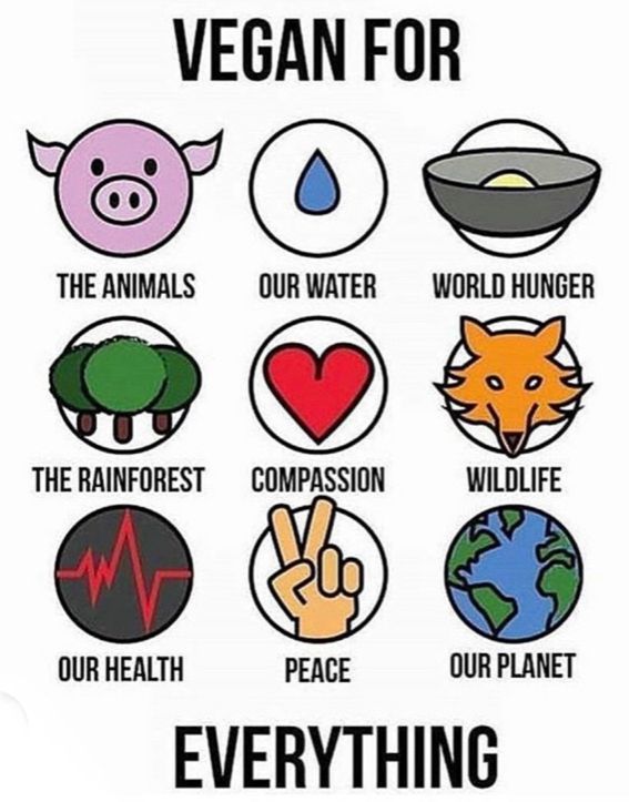 Meme

‘Vegan for everything’ on a white background w a grid of 9 circles representing 

The animals 🐷
Our water 💧
World hunger 🥣 
The rainforest  🌳 
Compassion  ❤️ 
Wildlife 🦊 
Our health 
Peace ✌🏻
Our planet 🌏