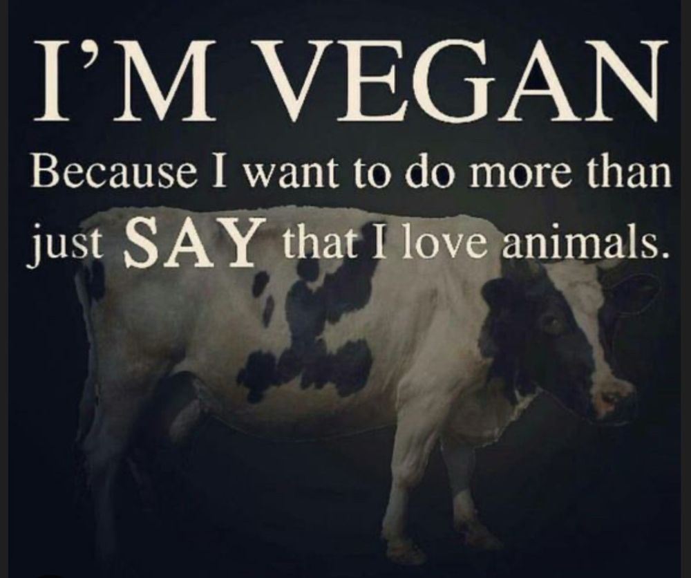 Black and white image showing a white and black cow, captioned: I’m vegan because I want to do more than just SAY that I love animals.