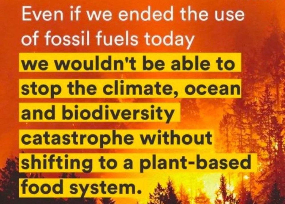 Graphic showing a forest fire in the background, captioned: Even if we ended the use of fossil fuels today we wouldn’t be able to stop the climate, ocean and biodiversity catastrophe without shifting to a plant-based food system.