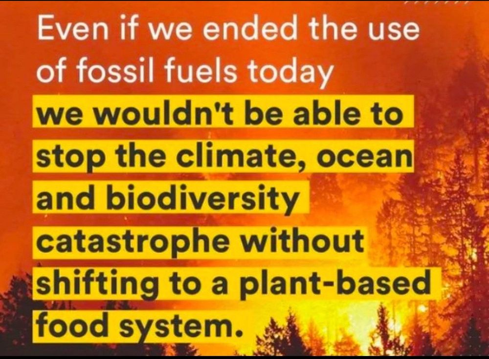 Graphic showing a forest fire in the background, captioned: Even if we ended the use of fossil fuels today we wouldn’t be able to stop the climate, ocean and biodiversity catastrophe without shifting to a plant-based food system.