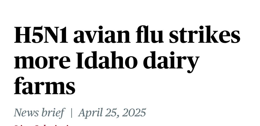 Headline stating; H5N1 avian flu strikes more Idaho dairy farms 
