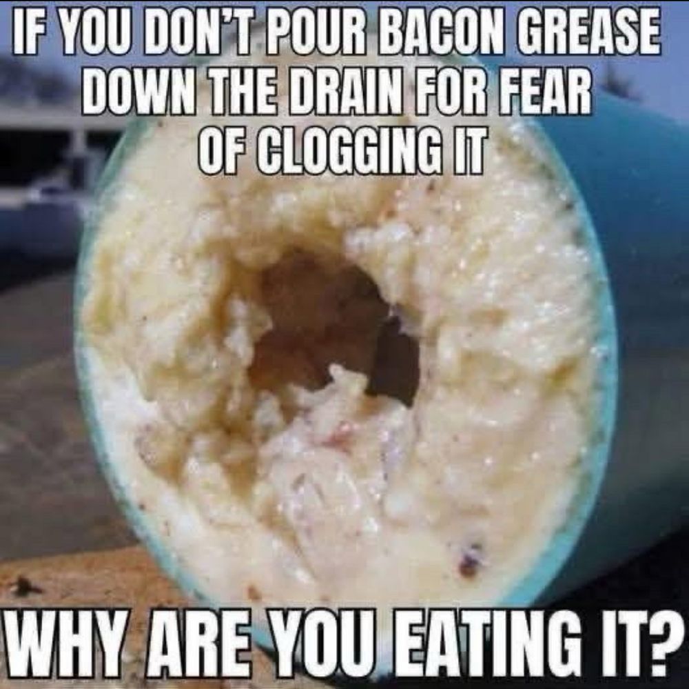 Meme

Image of a pipe clogged w bacon grease 

Caption: if you don’t put bacon grease down the drain for fear of clogging it why are you eating it? 