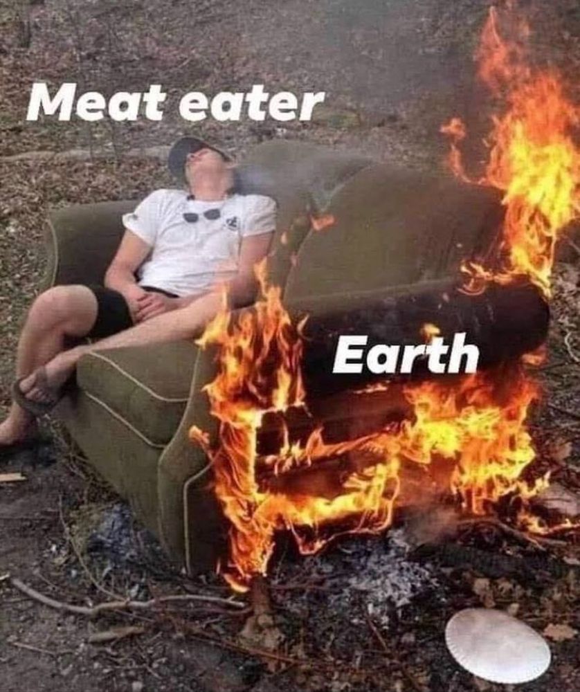 Meme

A man in a white shirt, black shorts, sandals and ball-cap (labeled ’meat eater’) is fast asleep on one side of a large green armchair (labeled ‘Earth’) that’s on fire in an outdoor setting