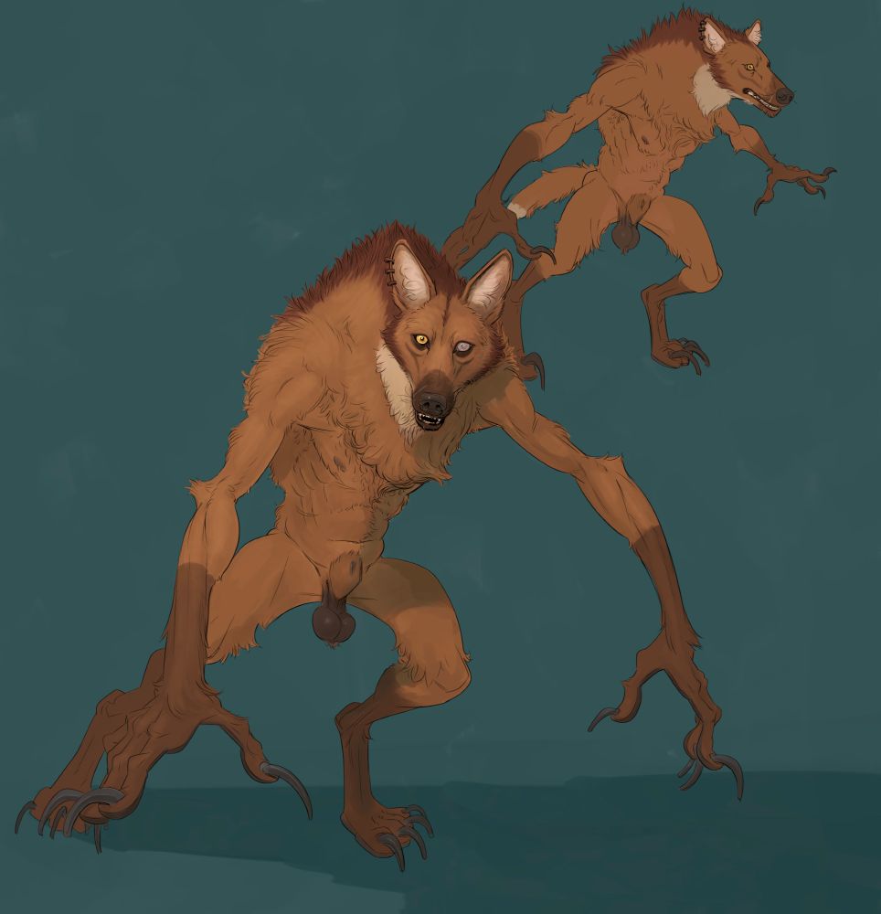 Maned wolf werewolf concept with two views. The coloration is also made to look like the person he transformed from