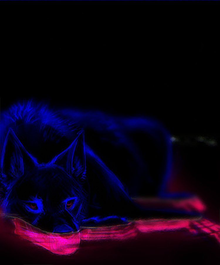 Illustration of a dark blue dog laying in water. Its pink skeleton is revealed on its submerged body parts.