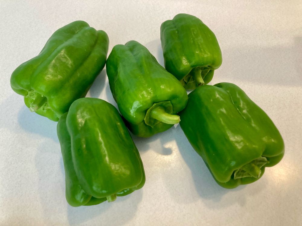 畑で採れた、とれたてピーマン。ぷりっぷり！