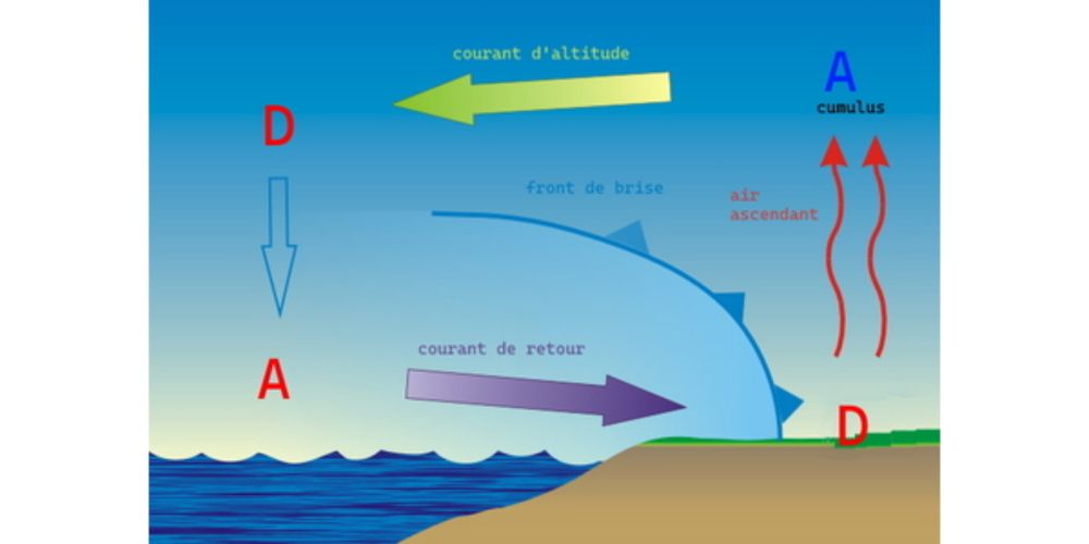 Les Brises Thermiques