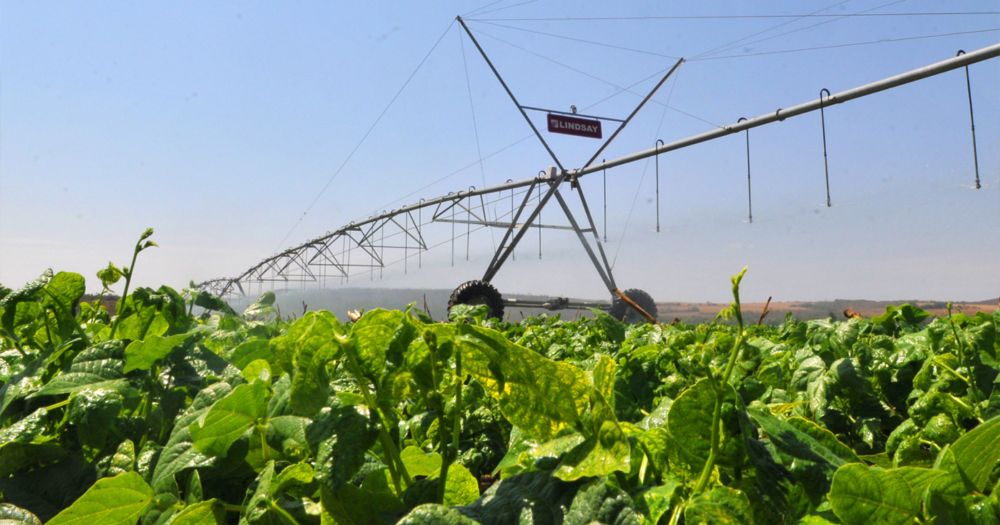 Setor agrícola utiliza metade da água consumida no Brasil