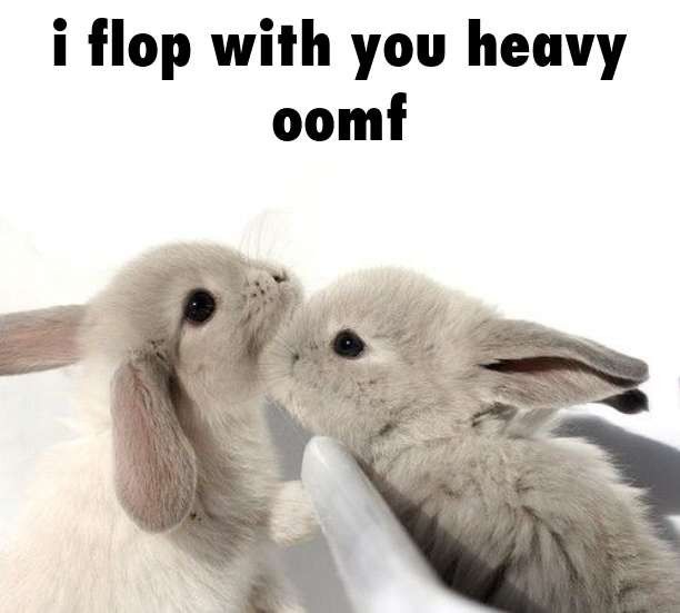 Comment image