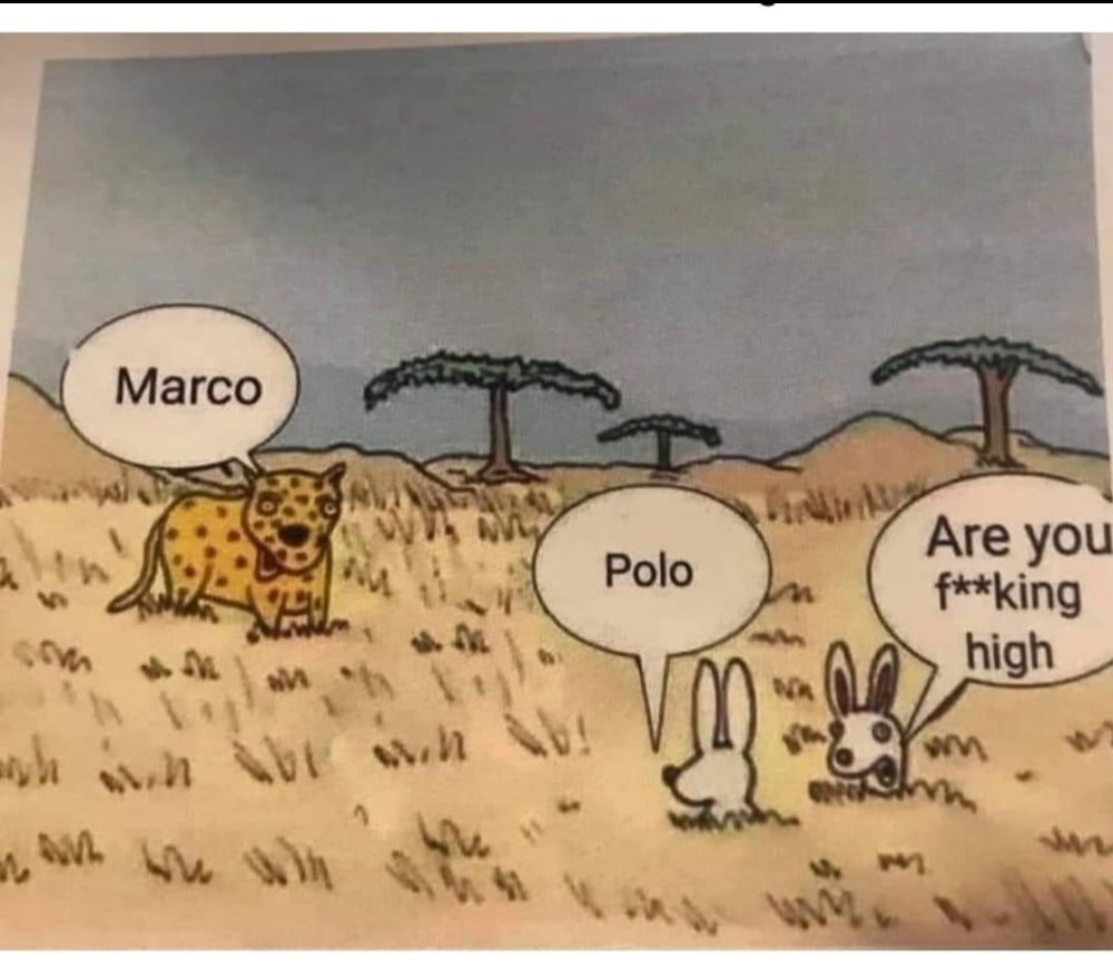 Two rabbits sitting in a tall grass in a savanna. A leopard calls out: "Marco" The other rabbit responds "Polo". The other one: "Are you f**king high!"