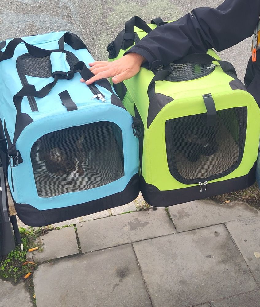 Zwei Katzenkörbe in jeweils hellgrün und hellblau auf eine Bank an einer Straße stehend