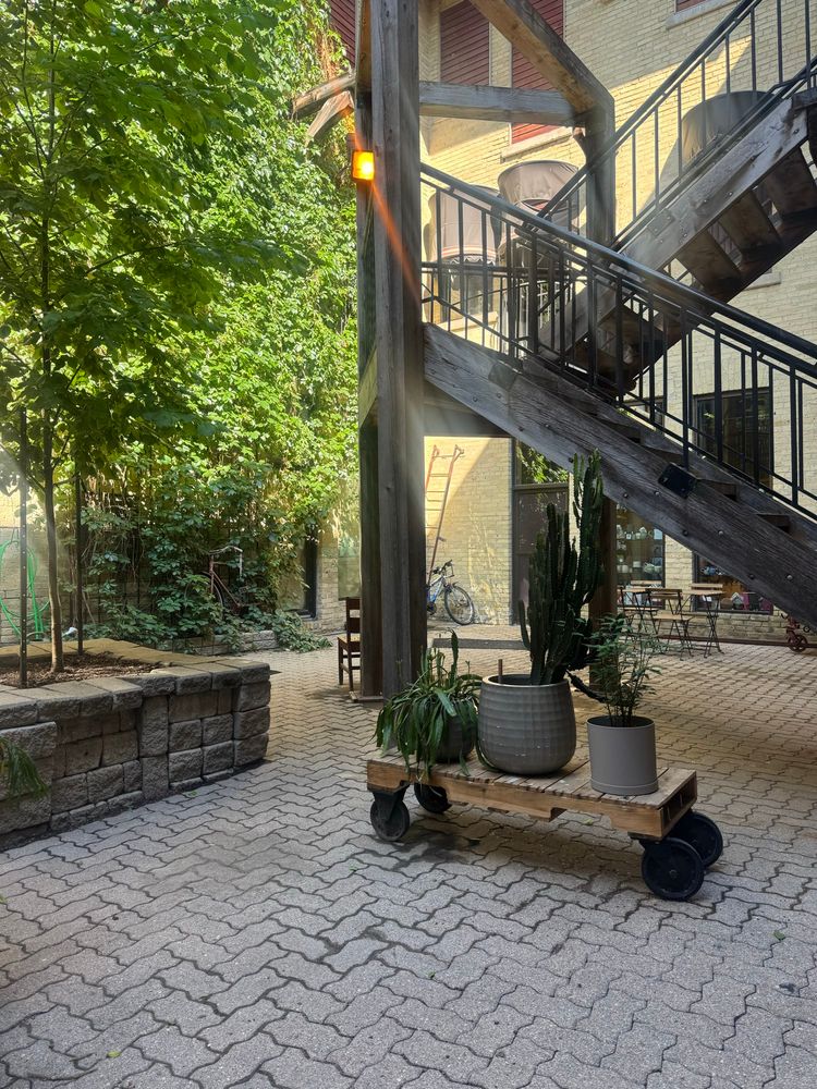 Plants, courtyard, cobblestone