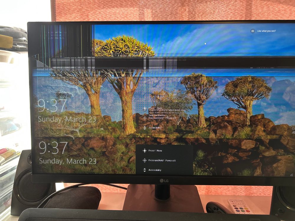 Rest in peace LG monitor. Unfortunately, my cat had the “brilliant idea” to climb and tip over the monitor. I don’t think there’s any way to salvage a damage LCD screen…