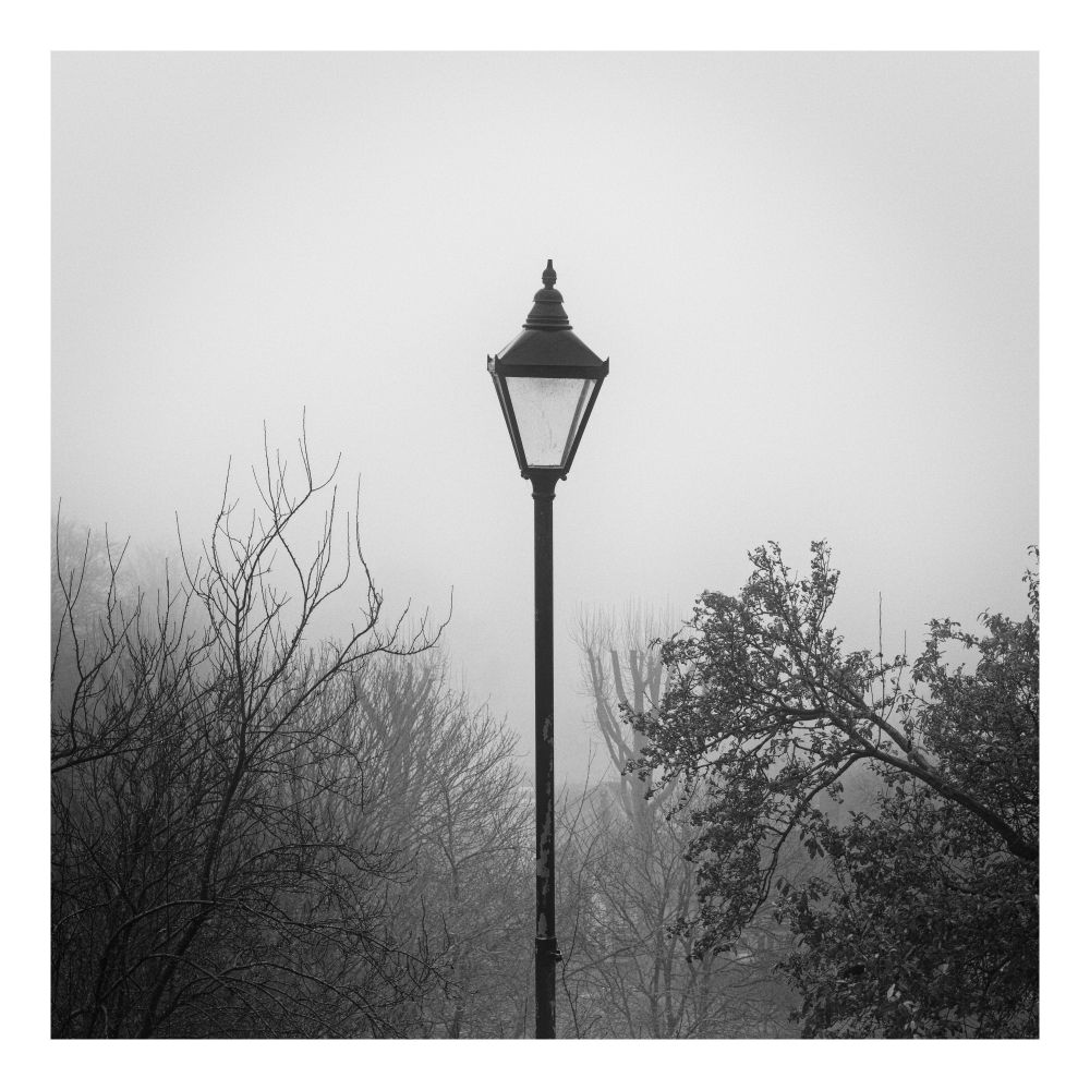 This is a black and white image of a lamp post in the fog. Either side of the post, there are trees and branches. There is thick fog in the background, which masks out a lot of the background.