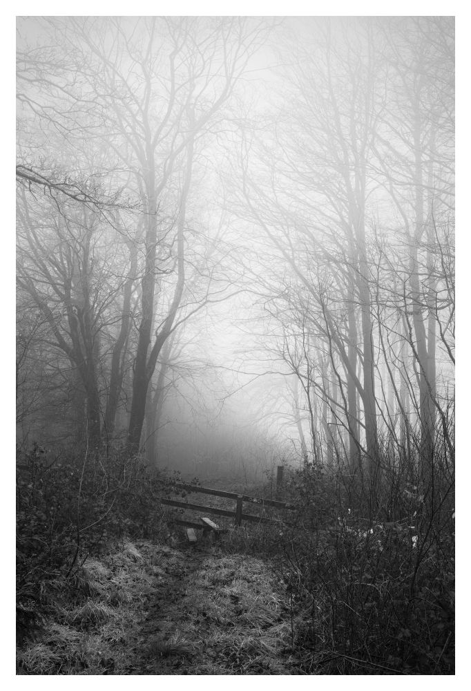 This is a black and white image of a foggy woodland scene. To the left and right, you can see trees, covered by the fog. In the centre is a small grassy track, leading to a stile. 