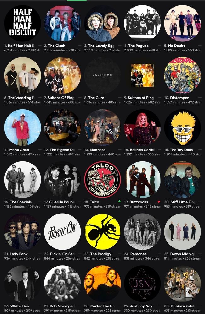 Screenshot of my top 30 most-streamed artists.